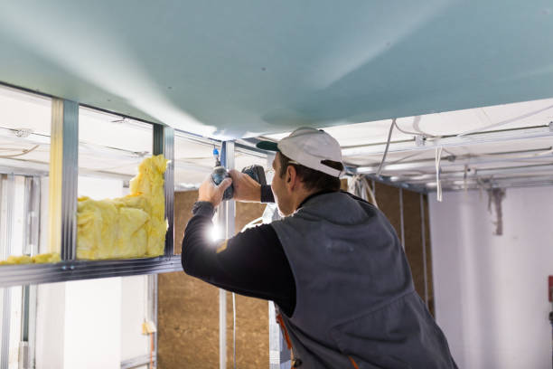 Best Spray Foam Insulation  in Tabor City, NC