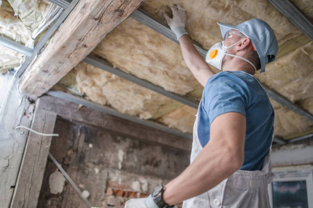 Best Wall Insulation Contractor  in Tabor City, NC