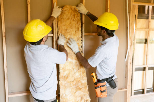 Best Professional Insulation Contractor  in Tabor City, NC