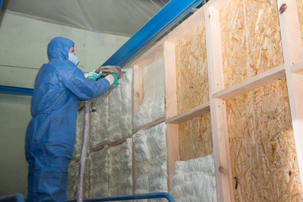 Best Spray Foam Insulation  in Tabor City, NC