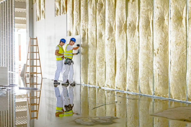 Best Garage Insulation Installation  in Tabor City, NC